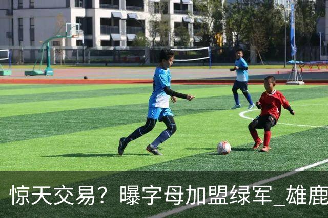 惊天交易？曝字母加盟绿军 雄鹿为布朗寻找第三方